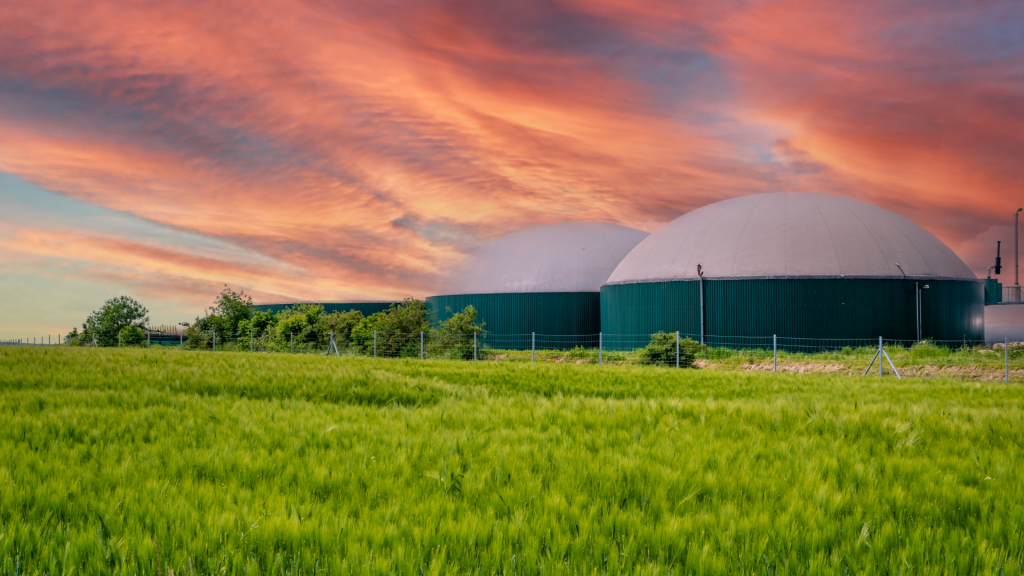 Codigestión agroindustrial biogás variabilidad estacional