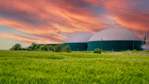 Codigestión agroindustrial biogás variabilidad estacional