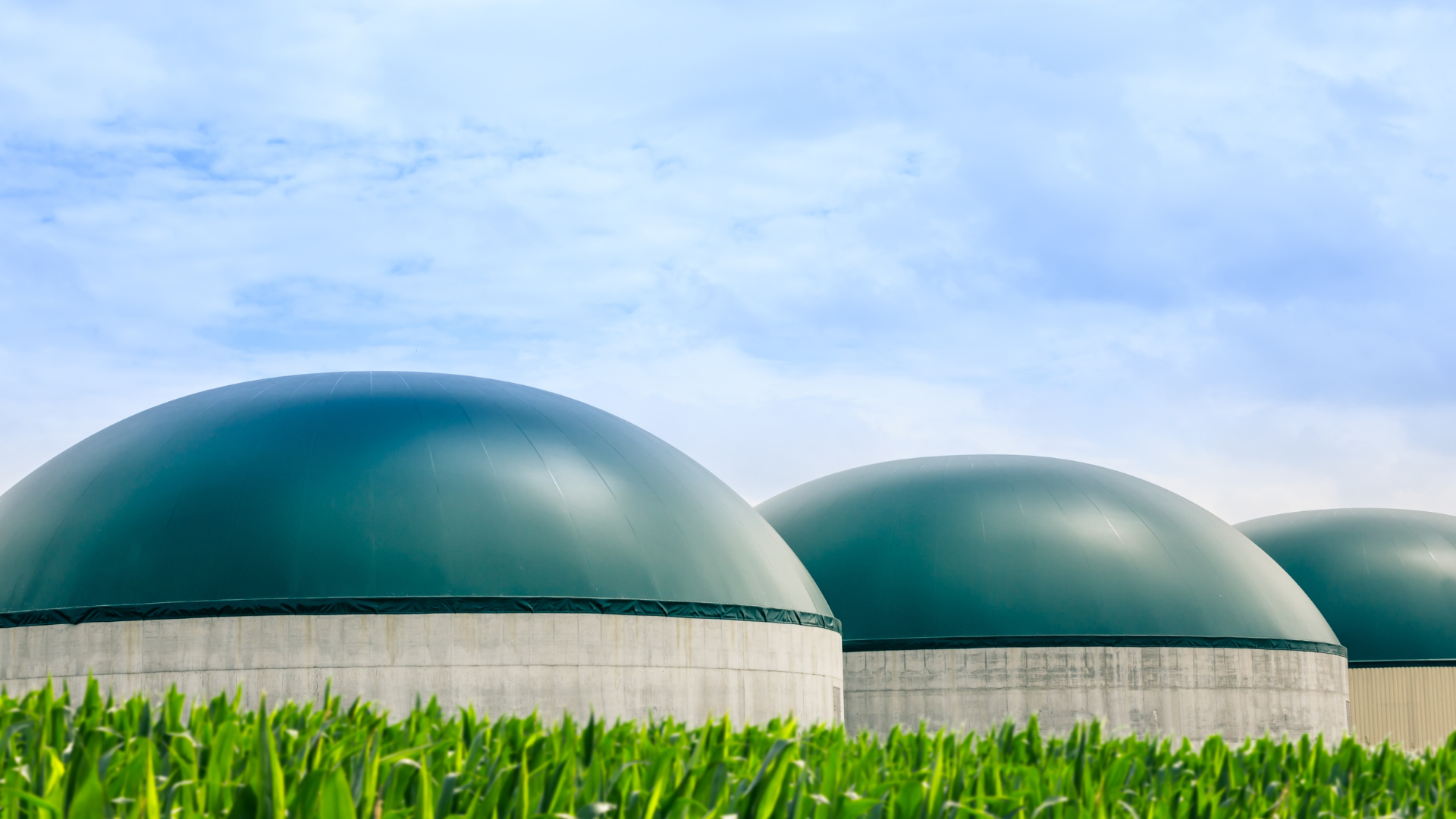 Codigestión inestable y amonio libre en biogás cómo gestionar el NH3 sin colapsar el digestor